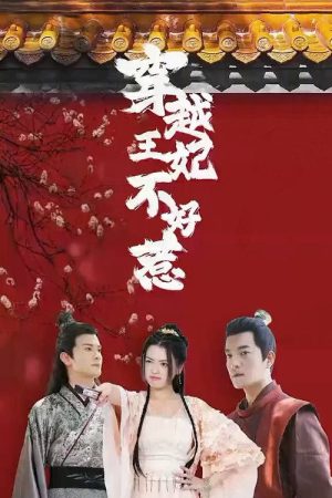 穿越王妃不好惹 (2023) poster