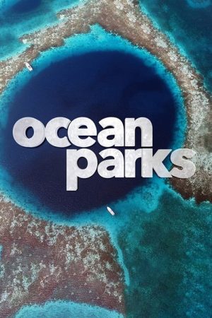 Ocean Parks (2016) poster