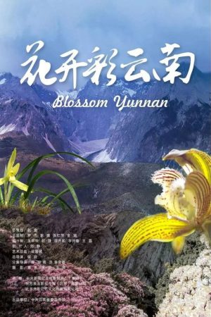 Blossom Yunnan (2019) poster