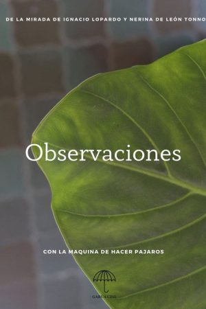 Observaciones (2022) poster