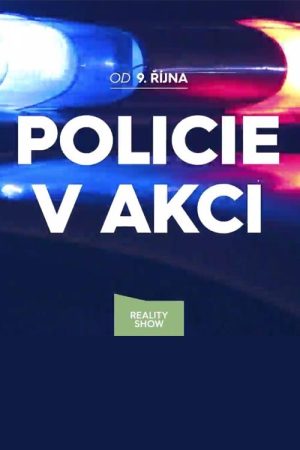 Police in action (2017) poster