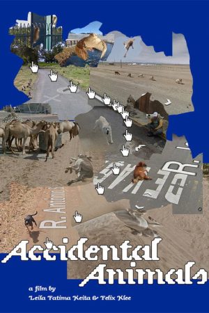 Accidental Animals (2024) poster