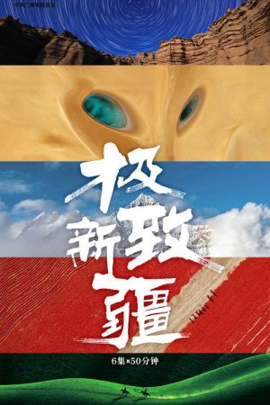 极致新疆 (2025) poster