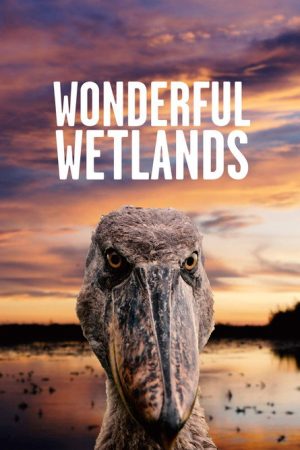 Wonderful Wetlands (2020) poster