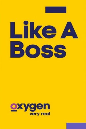 Like A Boss (2016) poster