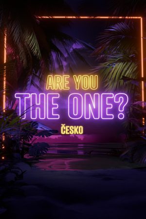 Are you the one? (2026) poster