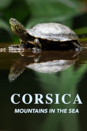 Corsica: Mountains in the Sea (2019) poster