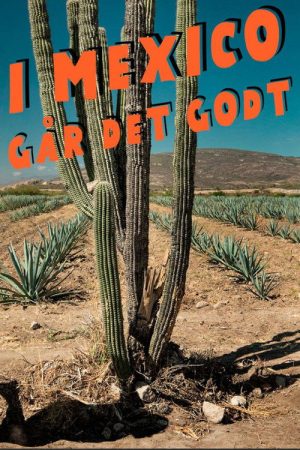 I Mexico går det godt (2019) poster