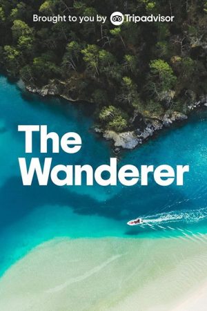 The Wanderer (2022) poster