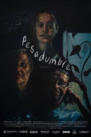 Sorrowful Memory (2025) poster