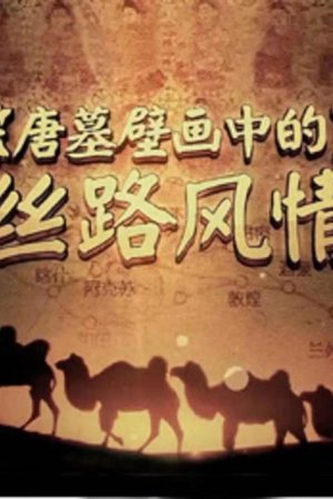 唐墓壁画中的丝路风情 (2016) poster