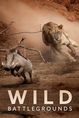 Wild Battleground (2023) poster