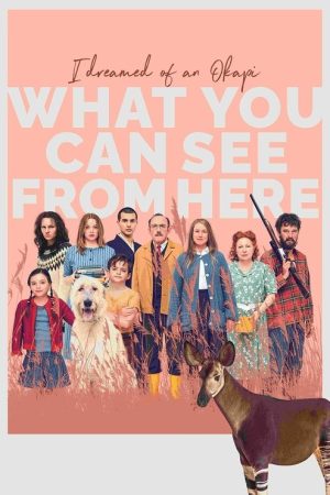 What You Can See from Here (2022) poster