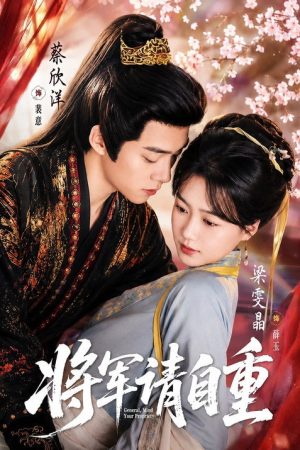将军请自重 (2026) poster