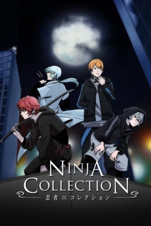 Ninja Collection (2020) poster