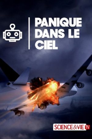 Planes Gone Viral (2018) poster