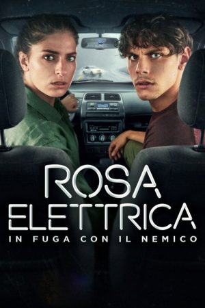 Rosa Elettrica – In fuga con il nemico (2026) poster