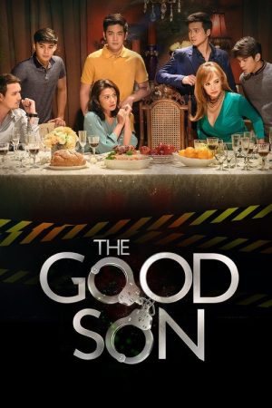 The Good Son (2017) poster