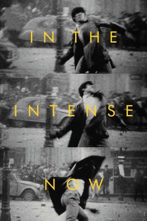 In the Intense Now (2017) poster