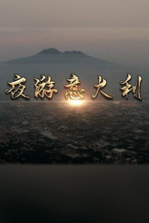 夜游意大利 (2020) poster