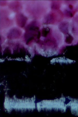 Rift (HD) (2022) poster