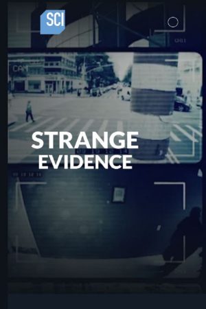 Strange Evidence (2017) poster