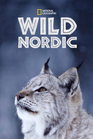 Wild Nordic (2019) poster