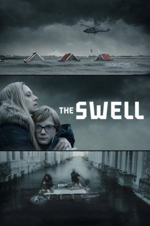 The Swell (2016) poster