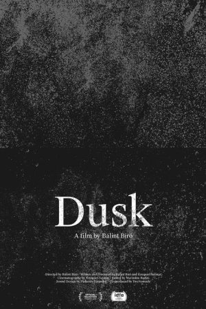 Dusk (2020) poster