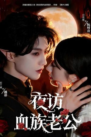 夜访血族老公 (2025) poster