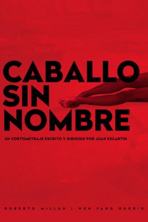 Caballo sin Nombre (2020) poster
