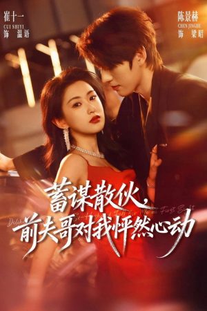 蓄谋散伙，前夫哥对我怦然心动 (2026) poster