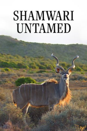 Shamwari Untamed (2018) poster