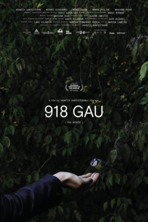 918 Nights (2021) poster