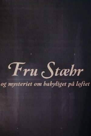 Fru Stæhr og mysteriet om babyliget på loftet (2020) poster