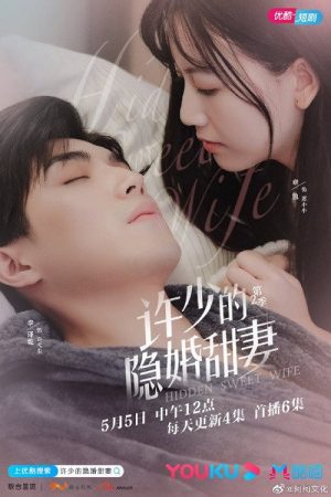 许少的隐婚甜妻 第二季 (2021) poster