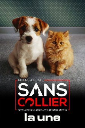 Chiens et chats sans collier (2017) poster