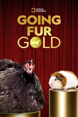 Going Fur Gold (2023) poster