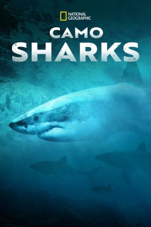 Camo Sharks (2022) poster