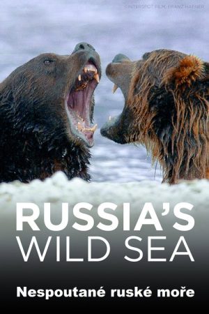 Universum: Russlands wildes Meer (2018) poster