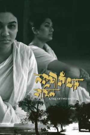 A Tale of Two Sisters (2024) poster