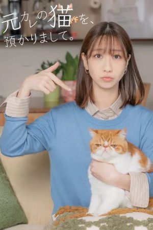 I’m Taking Care of My Ex’s Cat. (2026) poster