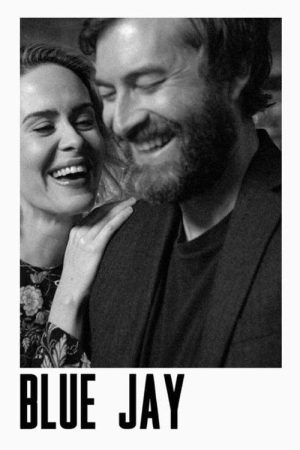 Blue Jay (2016) poster