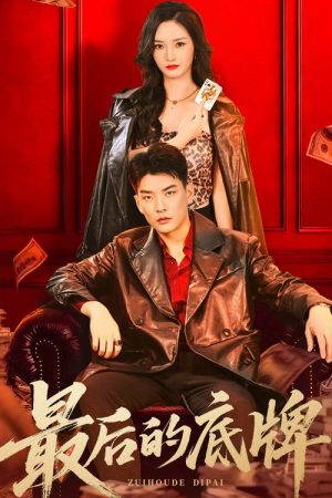 最后的底牌 (2026) poster