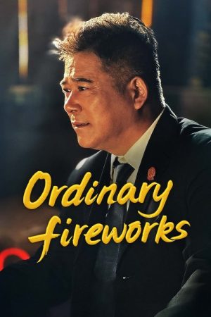 Ordinary Fireworks (2025) poster