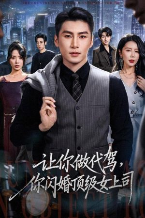 让你做代驾，你闪婚顶级女上司 (2026) poster