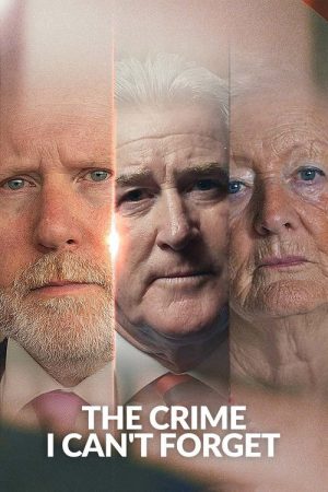 The Crime I Can’t Forget (2025) poster