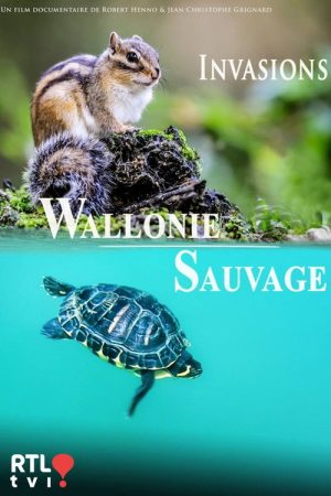 Wallonie sauvage (2020) poster