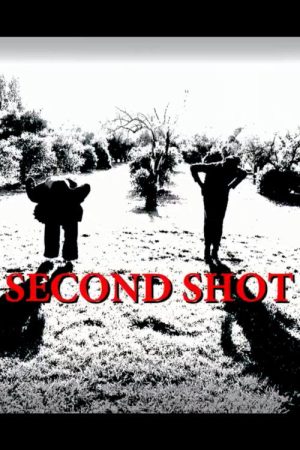 Second Shot (2017) poster