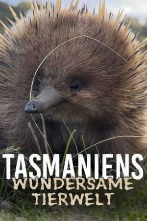 Tasmania’s Wild Treasures (2026) poster
